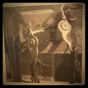 Silver Horse Bridal Framed Photo